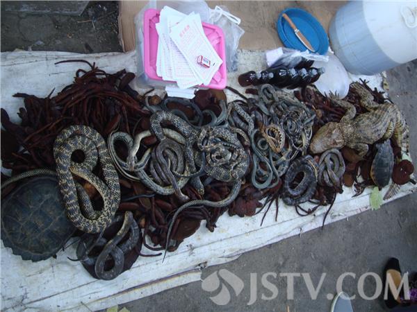 南京一男子用蟒蛇鳄鱼泡酒 菜市场旁当街叫卖