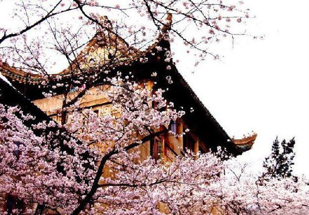 中国10所最美大学 <wbr>你的母校上榜了吗 中国最美10座大学 你的母校上榜了吗