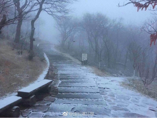 连云港今天清晨下雪 二桅尖已银装素裹