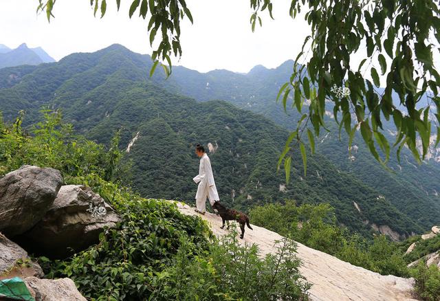 终南山女道长的隐士生活