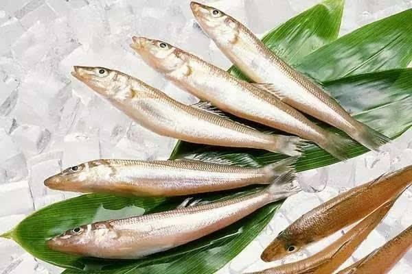 太仓江鲜品鉴季来了!