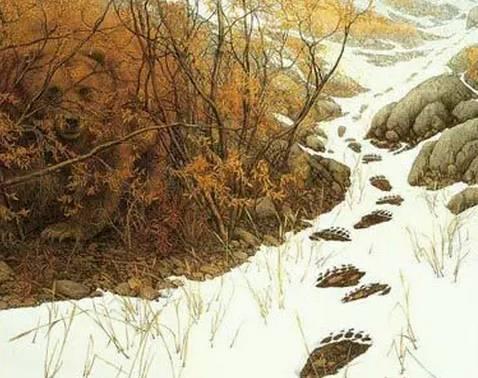 你一定会看错的20张图：会看错的图【治愈系图片】