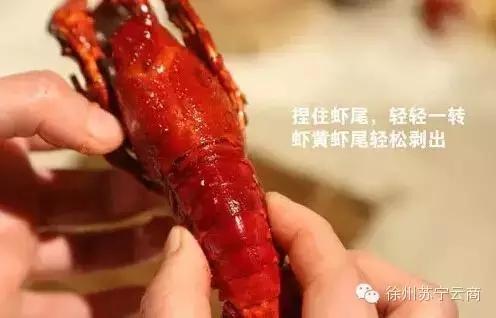 小龙虾怎么吃 这才是正确的姿势