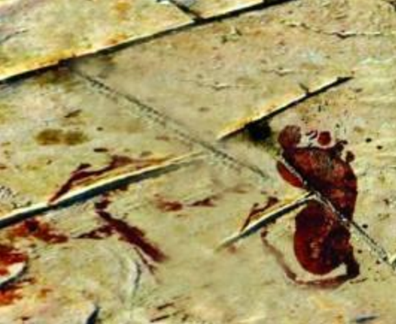 男女相处13天闪婚 婚后丈夫指使同伙杀妻骗保300万