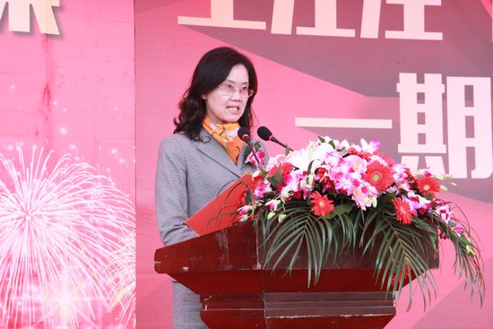 盛世起航 王江泾佳源中心广场11月8日盛大开业