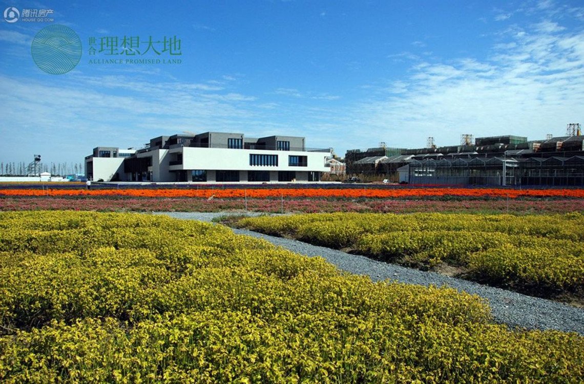 世合理想大地
