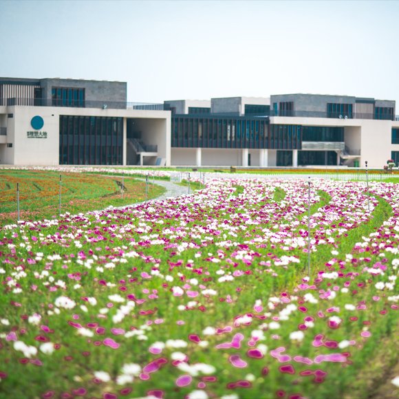 世合理想大地