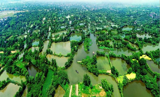 嘉德别墅:讲述湿地公园的传奇故事_频道-嘉兴