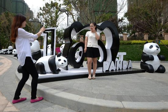 1st Panda 熊猫总动员 8月9日起登录嘉兴 萌翻仲夏夜_频道-嘉兴_腾讯网