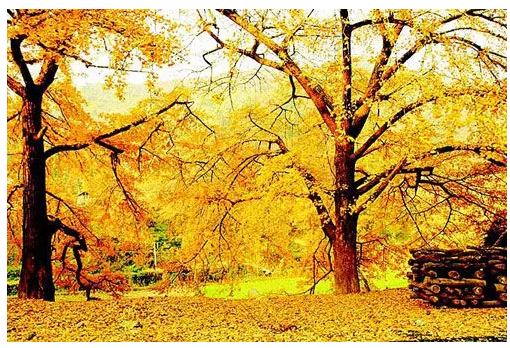 广水县gdp_2020贵港市五区县gdp(3)