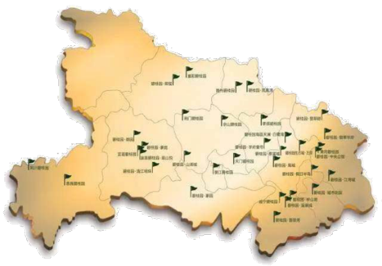 碧桂园成功斩获钟祥181亩优质地块,深耕荆楚大