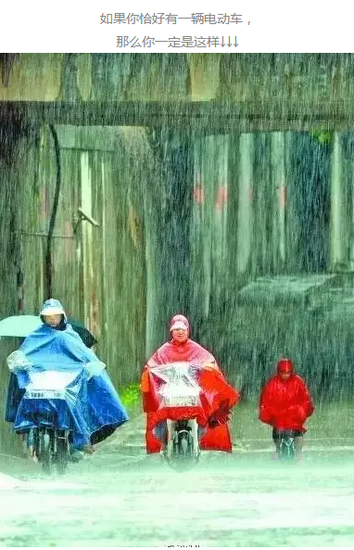 10303844.png