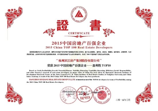 收入证明_公司董事长收入证明(3)