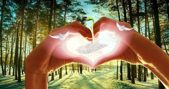 精彩人生,书绘未来衢州碧桂园爱心捐书活动_