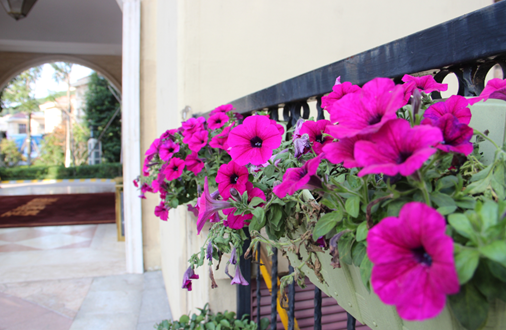 五一抢房到鲁能 洋房首选是漫山