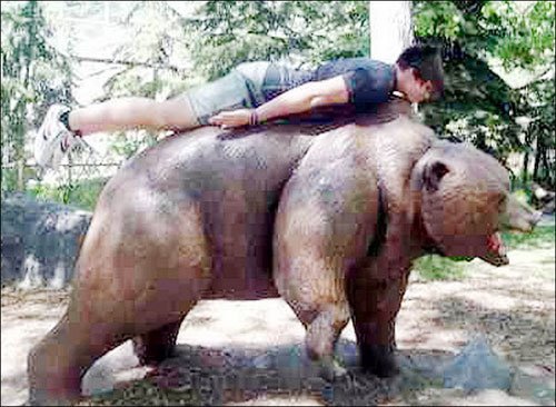 的恶搞行为和装死游戏 - 绝对灌水 - 香港大学中