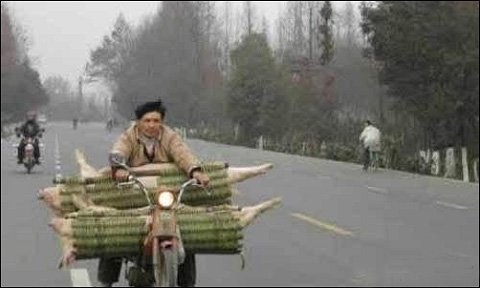 点击浏览下一张