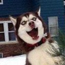 搞笑趣图日刊 - 腾讯笑话图片