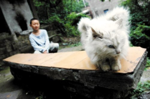 点击浏览下一张