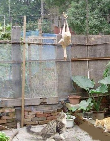 点击浏览下一张