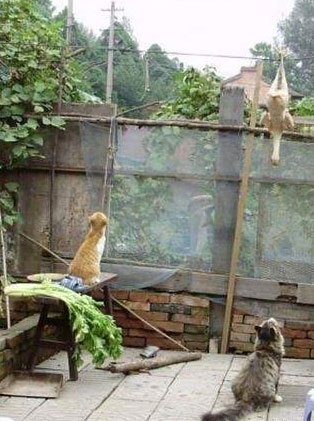 点击浏览下一张