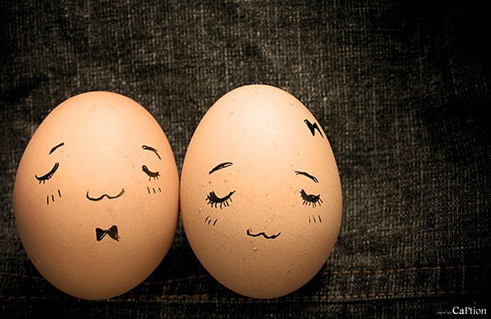组图:鸡蛋上画出的创意生活