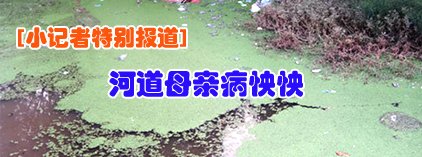 小记者：河道母亲病怏怏
