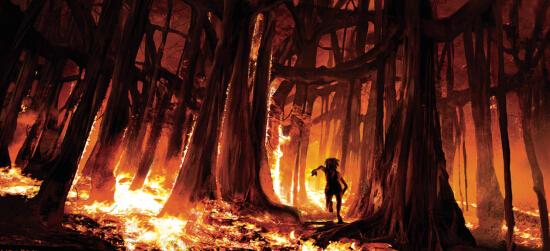 没看过《奇幻森林》,还敢自称电影迷:近200张