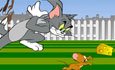 Passez par le grand Tom et Jerry gagnants