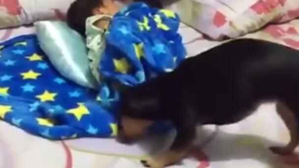 ����˯���߱��� �����Ͻ������Ǻ�