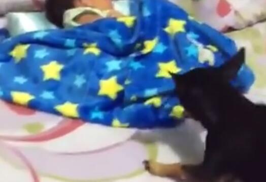 ����˯���߱��� �����Ͻ������Ǻ�