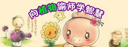 向植物偷师学智慧
