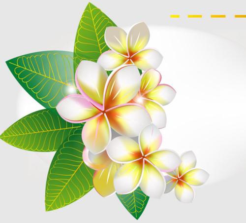 校园里的桂花树_腾讯儿童_腾讯网