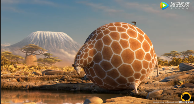 圆滚滚的动物世界-长颈鹿篇