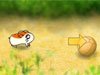 Hamtaro wyścigu
