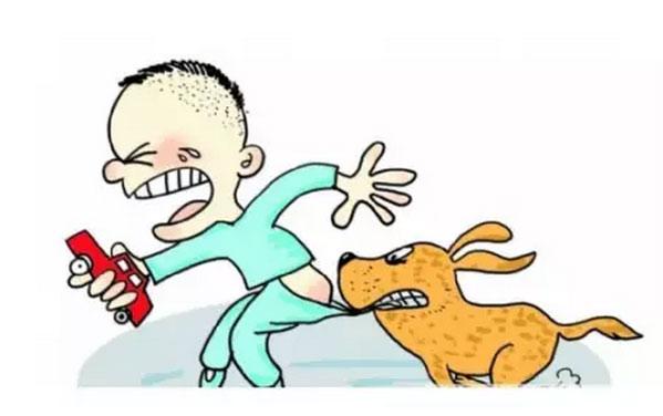 狗咬孩子后果触目惊心! 如何预防悲剧再降临?