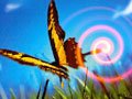  Interesting butterfly effect