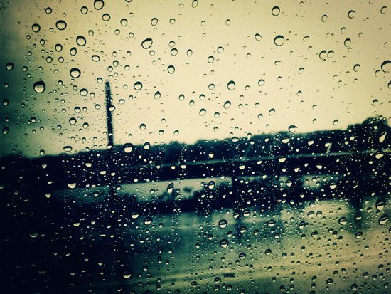 (网友投稿)大自然的声音