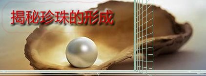 珍珠是怎样形成的？