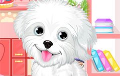 一起做作业·学习测量