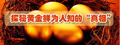 探秘黄金鲜为人知的“真相”