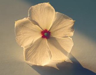 就这样慢慢长大