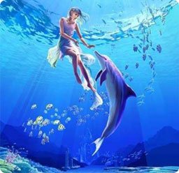 海豚救人之谜
