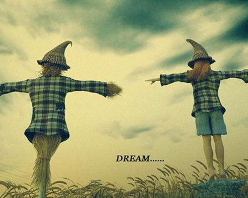 (网友投稿)假如人生不曾相遇