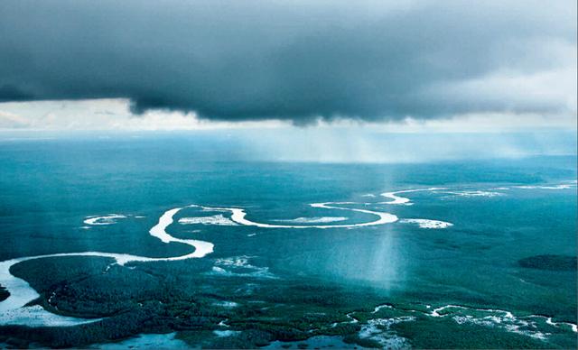 抢《亚马逊萌猴奇遇记》电影票!