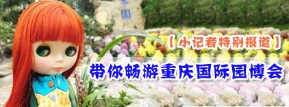 小记者：带你畅游重庆国际园博会