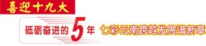 2012年云南常住人口_云南新政：到2020年助百万以上人口就业脱贫(2)