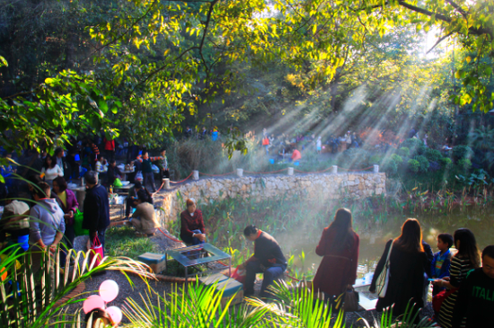 镜遇中产花香四季 寻觅主城最美时光