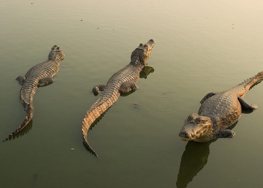 大鳄“抄底”昆明
