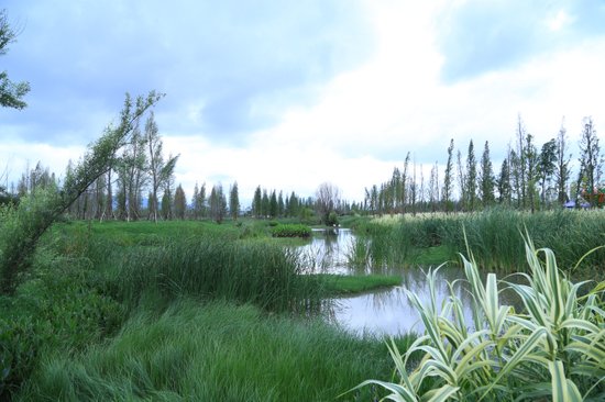 住在中国最美湿地:俊发生态半岛开启真正湖居时代_房产_腾讯网